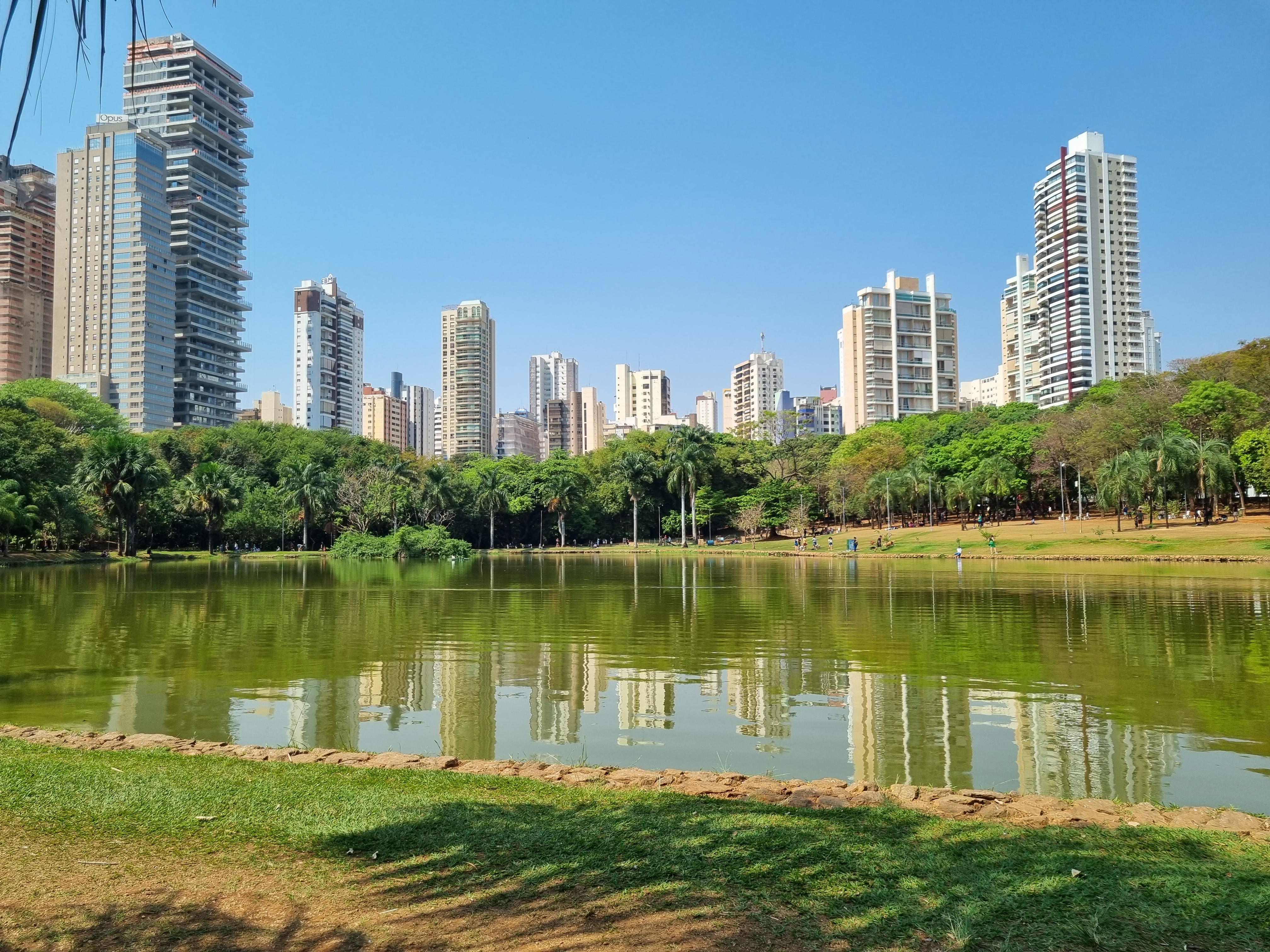 Lago do Parque Vaca Brava com prédios do Setor Bueno ao fundo, em Goiânia