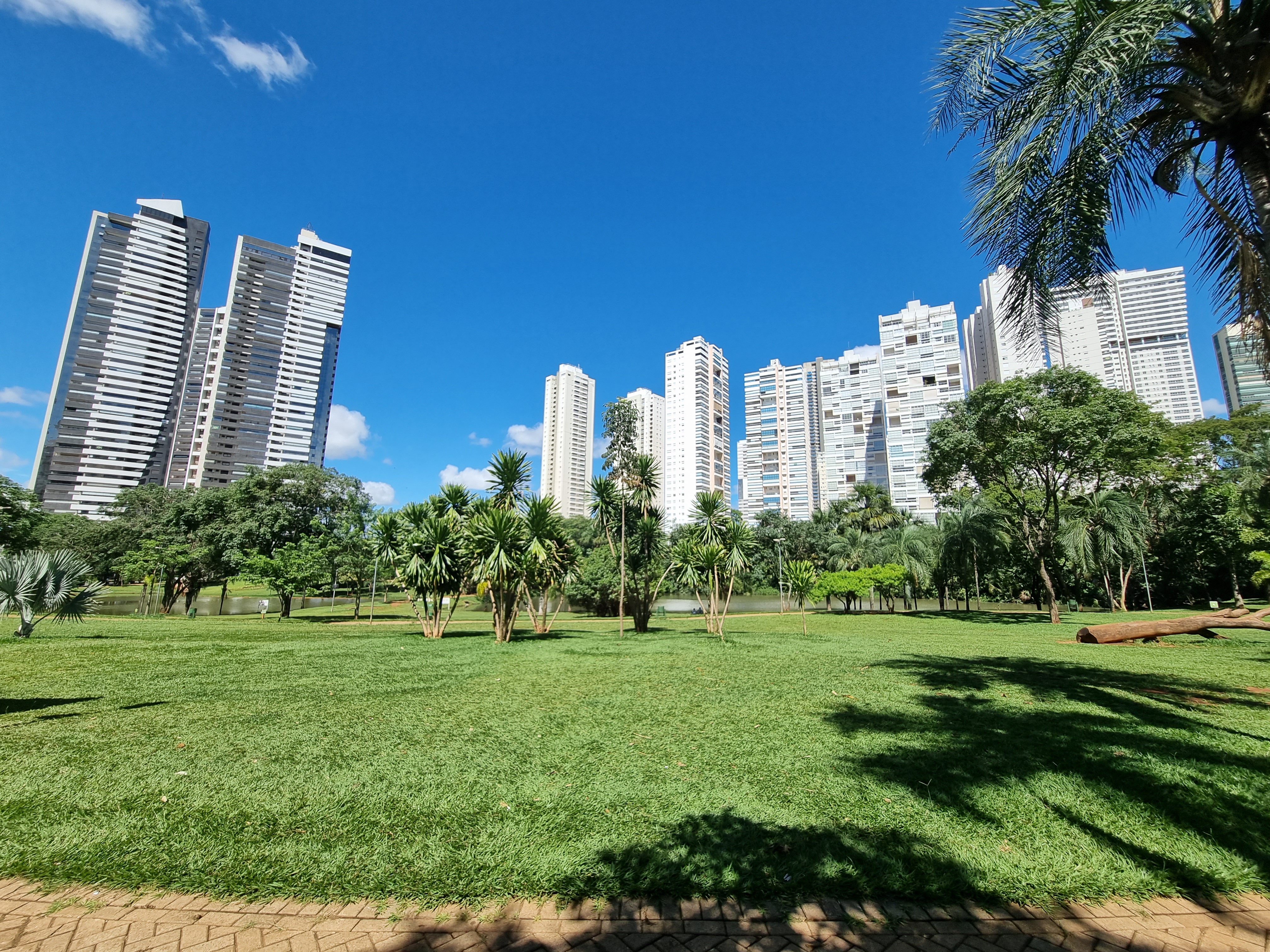 Parque Flamboyant com prédios residenciais ao fundo, em Goiânia