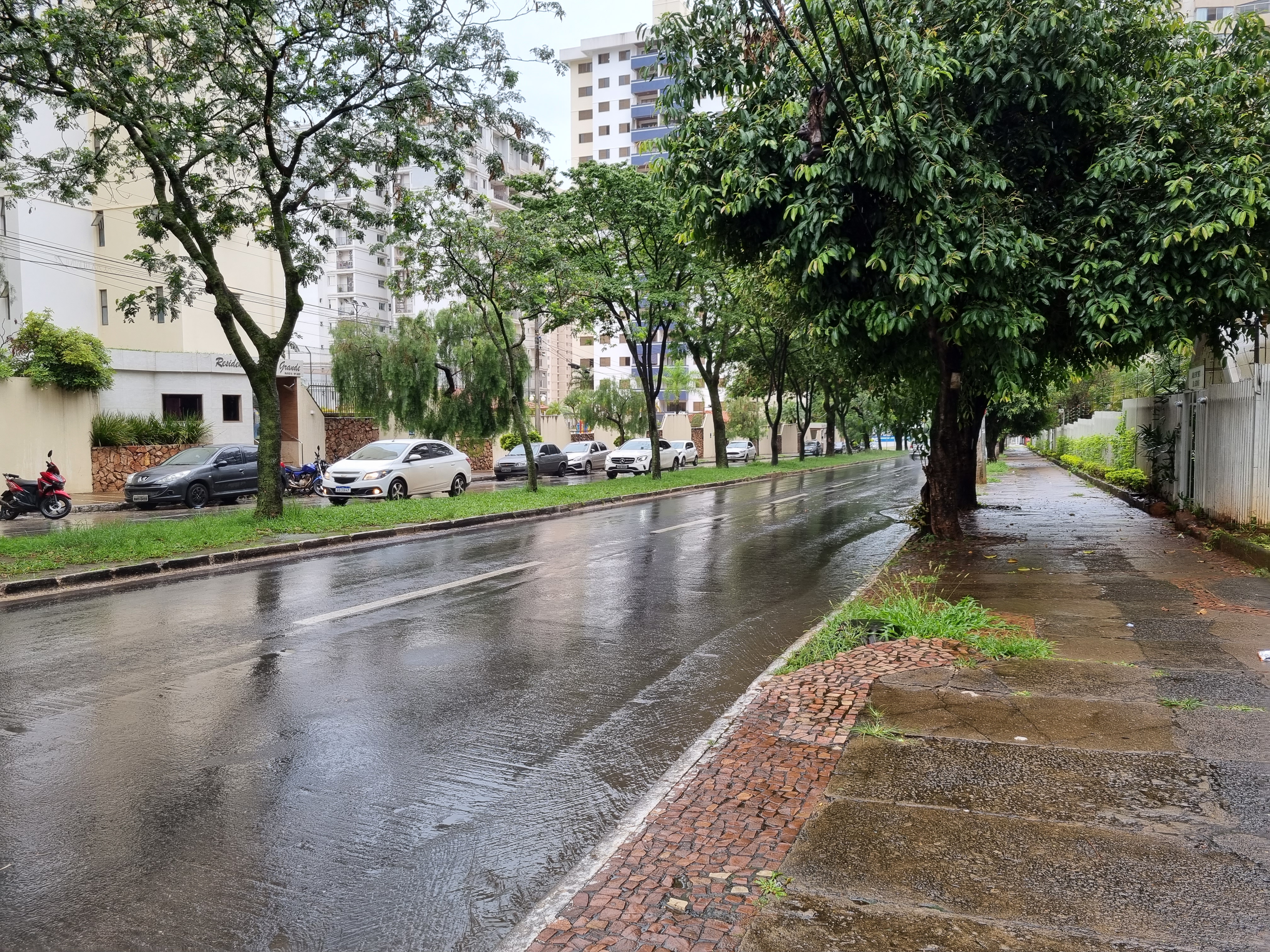 Avenida arborizada do Jardim Goiás com prédios residenciais ao fundo, em Goiânia